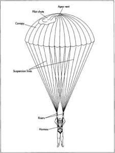 hpm_0000_0005_0_img0132